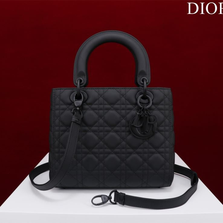 Christian Dior My Lady Bags - Click Image to Close